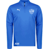Puma teamGOAL Training 1/4 Zip Top