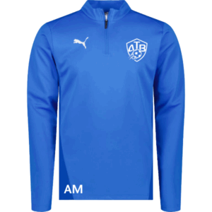 Puma teamGOAL Training 1/4 Zip Top