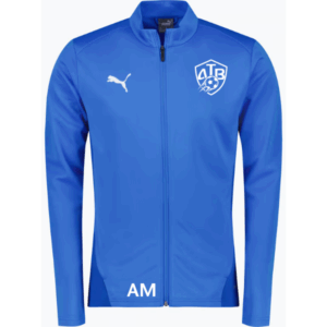 Puma teamGOAL Training Jacket