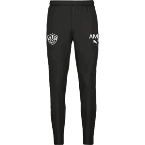 Puma teamGOAL Training Pants