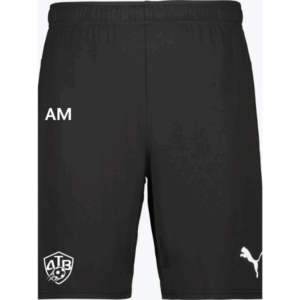 Puma teamGOAL Training Shorts