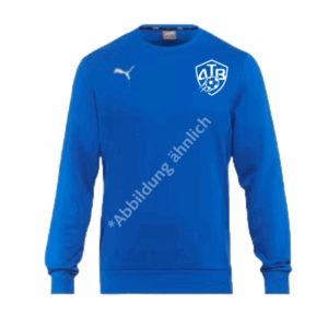 Puma teamGOAL Training Sweat