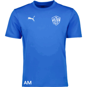 Puma teamGOAL Matchday Jersey