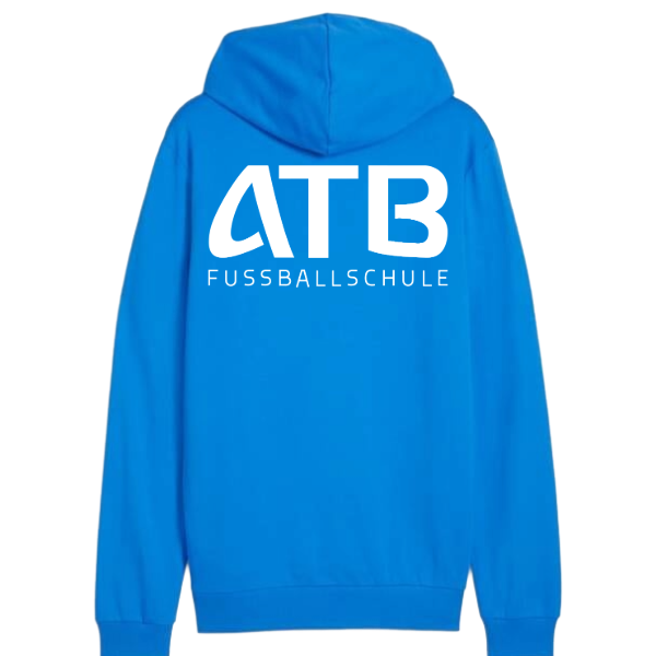 Puma teamGOAL Casuals Hoody