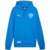 Puma teamGOAL Casuals Hoody