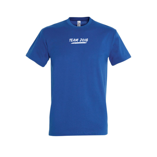 ATB-11500-2018_241-VS ATB FanShirt26 Junior