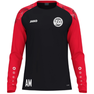 TSVO Longsleeve Sonic