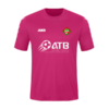 WSF - Trikot Team Kurzarm