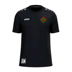WSF T-Shirt One