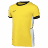 NIKE Dri-FIT Academy 25 T-Shirt Kids
