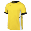 NIKE Dri-FIT Academy 25 T-Shirt Herren
