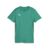 Puma teamGOAL Jersey Wmn