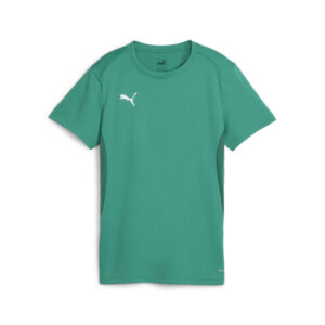 658638_05 Puma teamGOAL Jersey Wmn