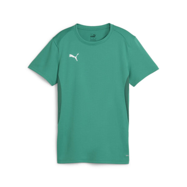 Puma teamGOAL Jersey Wmn