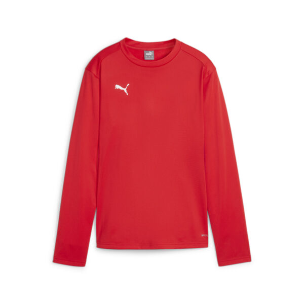 658652_01 Puma teamGOAL Training Sweat Wmn