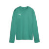 658652_05 Puma teamGOAL Training Sweat Wmn