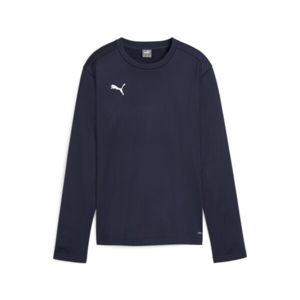 658652_06 Puma teamGOAL Training Sweat Wmn