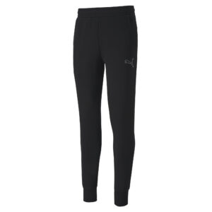 Puma teamGOAL Pants CE