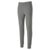 Puma teamGOAL Pants CE