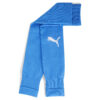 Puma teamGOAL Sleeve Sock