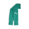 Puma teamGOAL Sleeve Sock